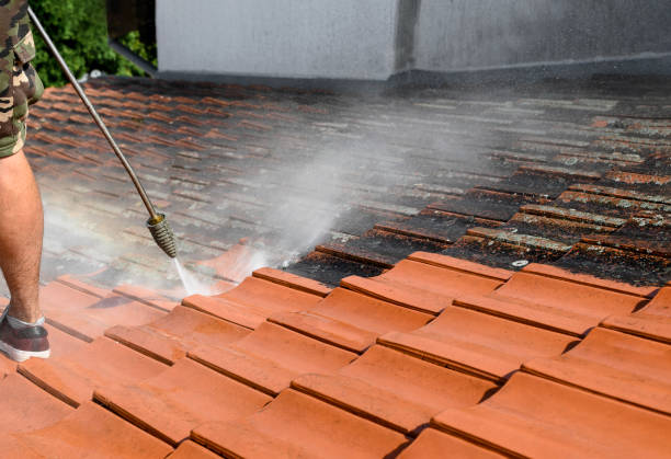 Professional Pressure Washing in Continental, OH