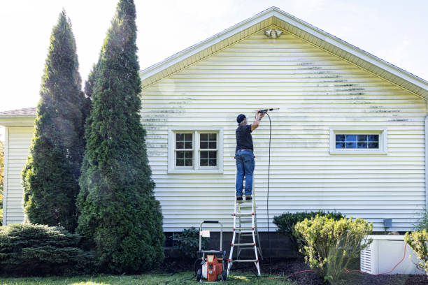 Best Pressure Washing Siding  in Continental, OH